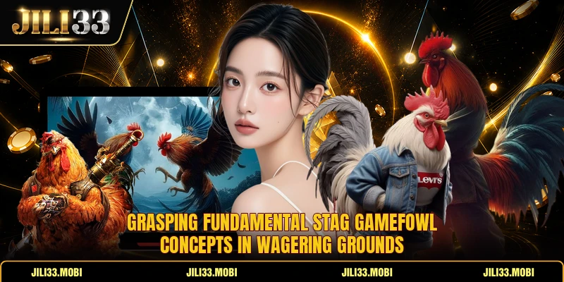 Grasping fundamental stag gamefowl concepts in wagering grounds Grasping fundamental stag gamefowl concepts in wagering grounds