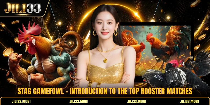 Stag Gamefowl - Introduction To The Top Rooster Matches